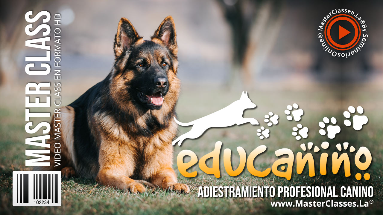 Educanino - Todo sobre adiestramiento canino